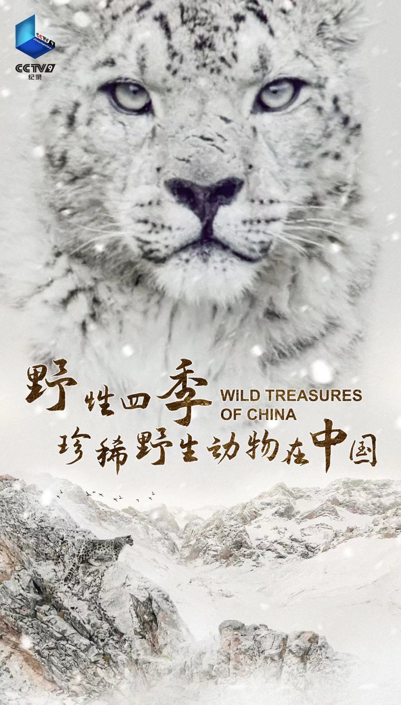 野性四季：珍稀野生动物在中国.jpg