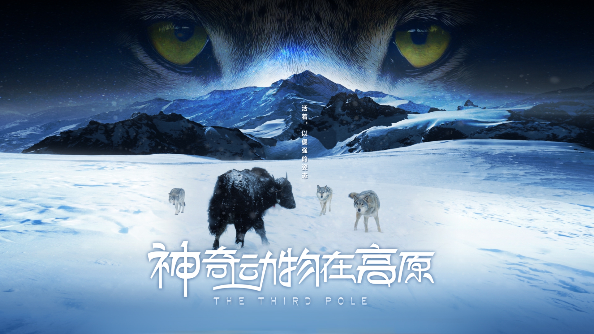《神奇动物在高原》-中国.jpeg